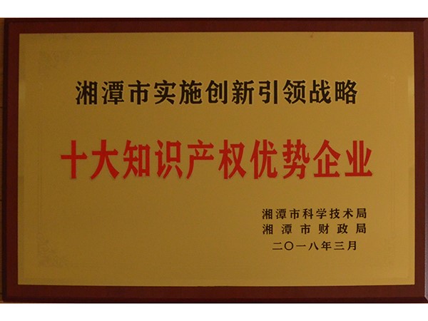 湘潭市十大知識產(chǎn)權優(yōu)勢企業(yè)