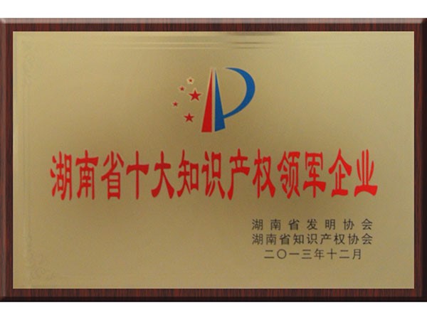 湖南省十大知識(shí)產(chǎn)權(quán)領(lǐng)軍企業(yè)